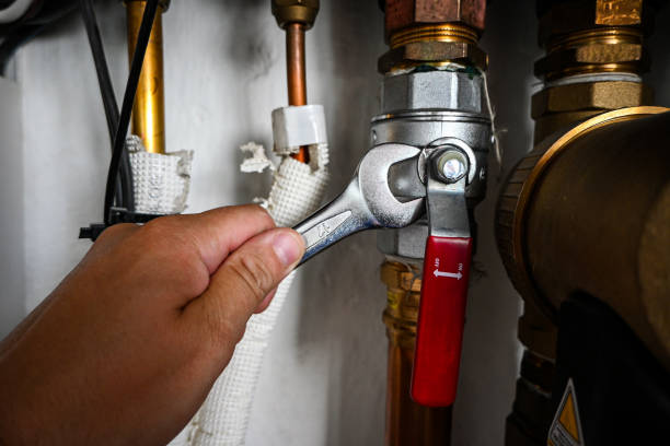 Best Water Heater Repair  in Wildwood, FL